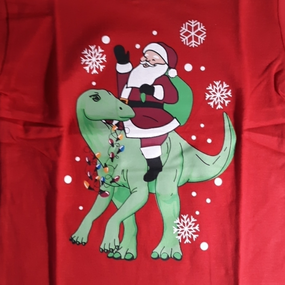New Christmas dinosaur & Santa 2T 3T